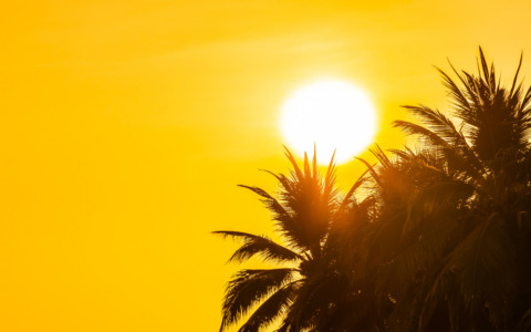 Nuova ondata di calore in arrivo: allerta fino al 1° agosto