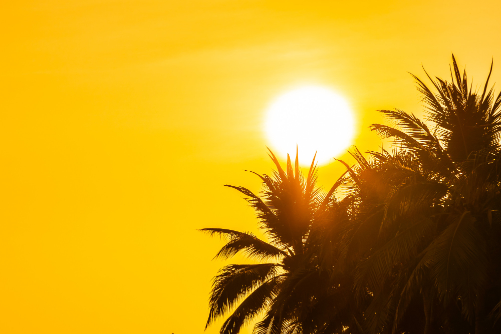 Nuova ondata di calore in arrivo: allerta fino al 1° agosto