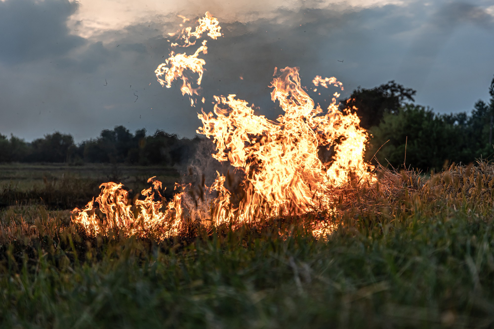 Incendio, chiusa la SP 583 tra Paré e Onno