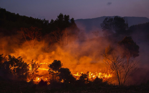 Moregallo, incendio spento dopo 14 giorni: il grazie a Valmadrera