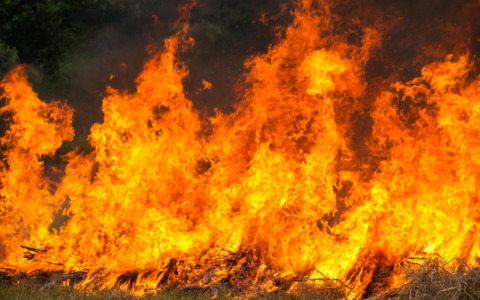Volontari e pastori uniti per la prevenzione degli incendi