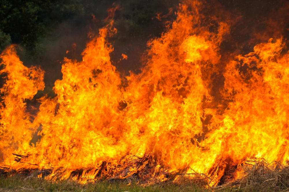 Incendio all’Alpe di Caprecolo, Canadair in azione per spegnere le fiamme