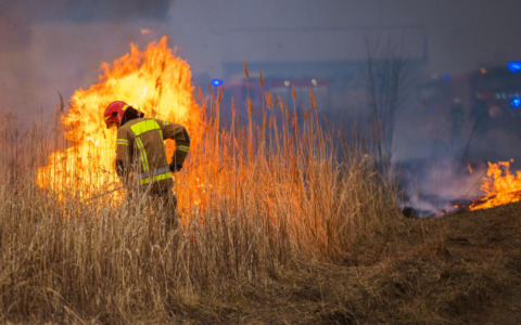 Incendio al Moregallo: proseguono le operazioni di spegnimento