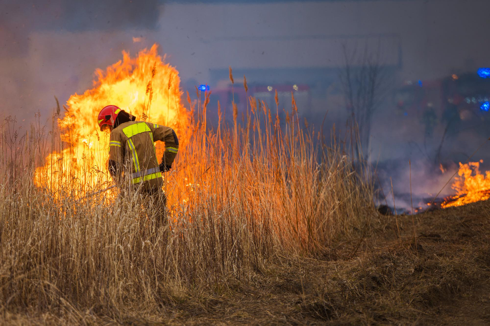 Incendio al Moregallo: proseguono le operazioni di spegnimento