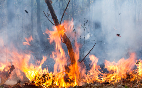 Incendio in azienda: intervento dei vigili del fuoco a Verderio