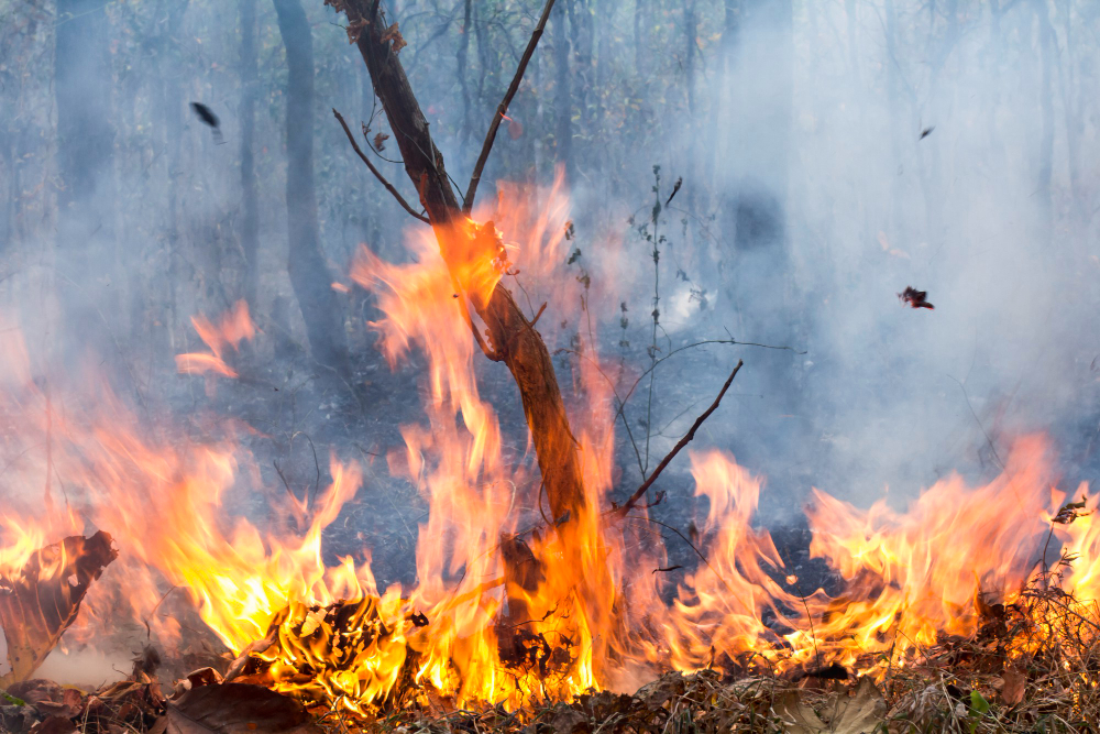 Incendio in azienda: intervento dei vigili del fuoco a Verderio